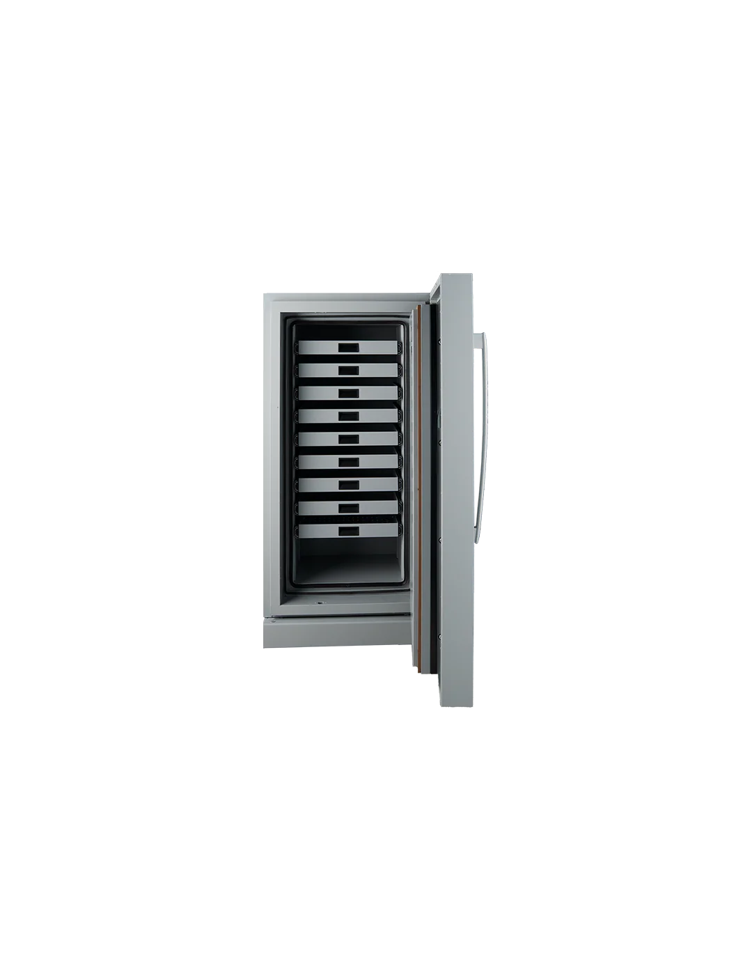 Fichet Bauche Diva Data Cabinet Grade S2 M-250 - Image 4